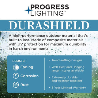 POINT DUMEÂ® Dunemere Shelter White Outdoor Wall Lantern with DURASHIELD