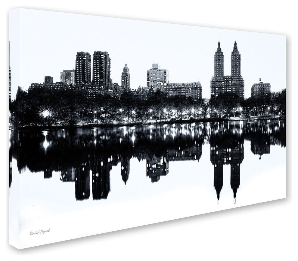 'Central Park West II' Canvas Art by David Ayash
