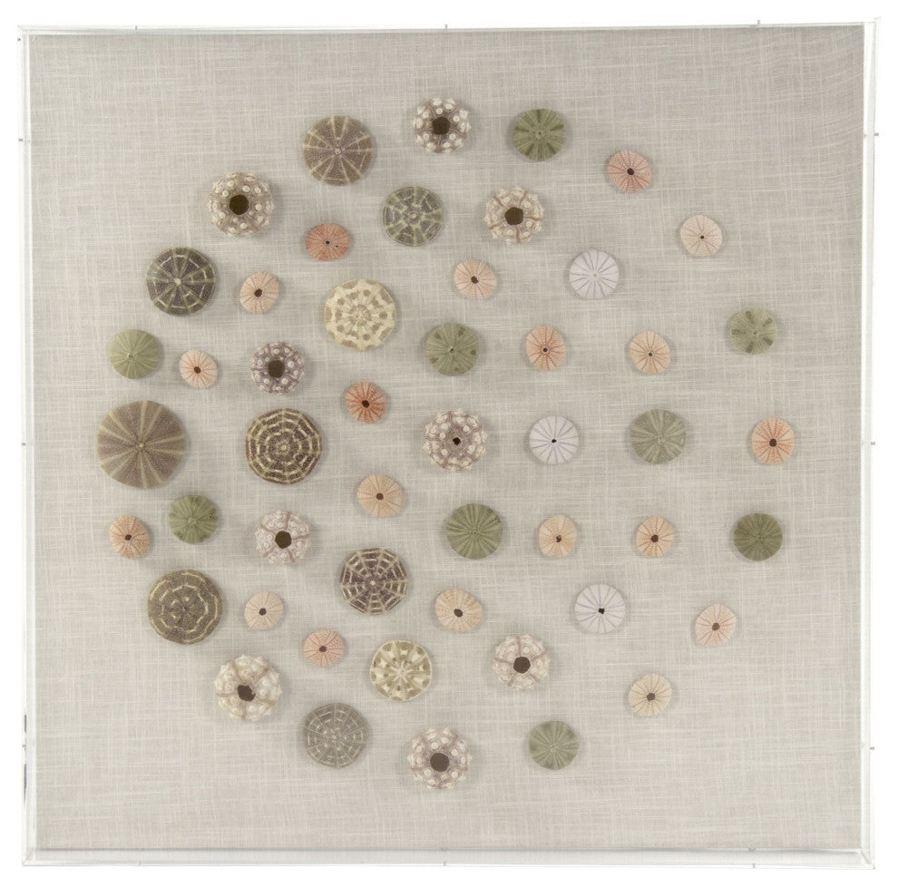 Abstract Shell Wall Art