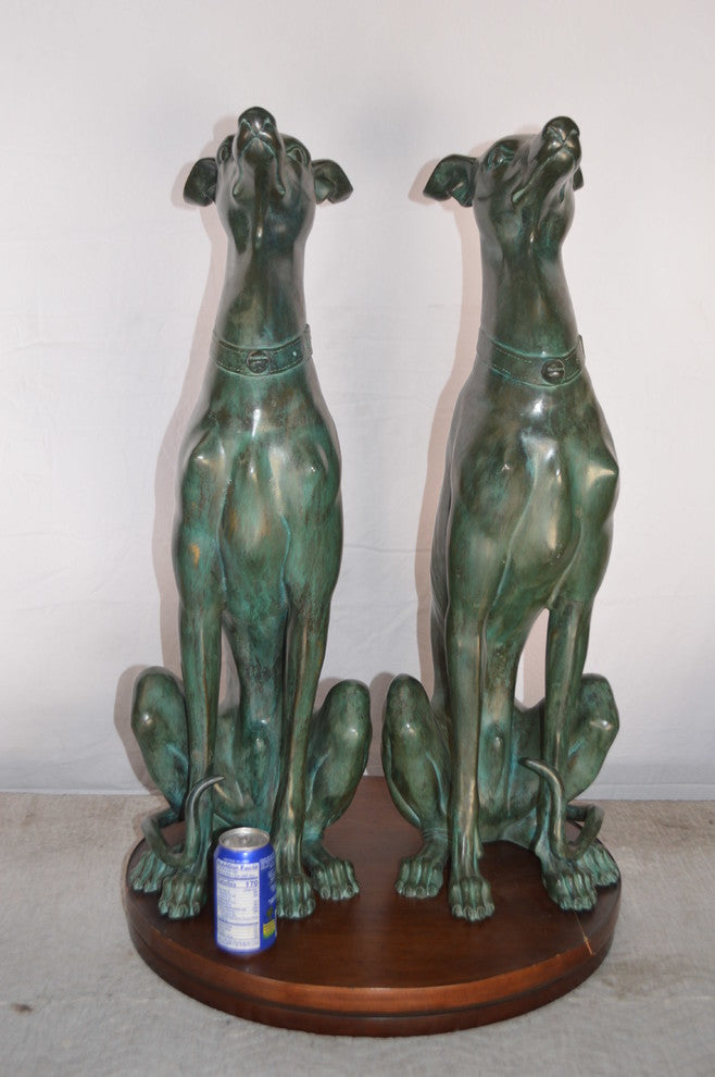 Pair of Greyhound dogs sitting Bronze Statue -  Size: 12"L x 12"W x 35"H.