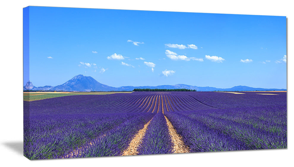 "Lavender Blooming Fields And Trees" Landscape Wall Art Print, 32"x16"