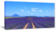 "Lavender Blooming Fields And Trees" Landscape Wall Art Print, 32"x16"