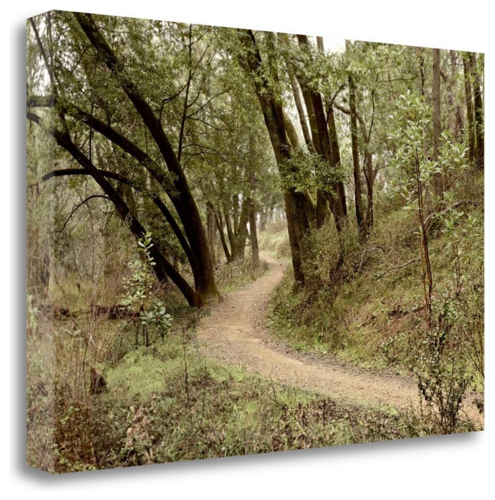 "Oak Tree - 51" By Alan Blaustein, Giclee Print on Gallery Wrap Canvas