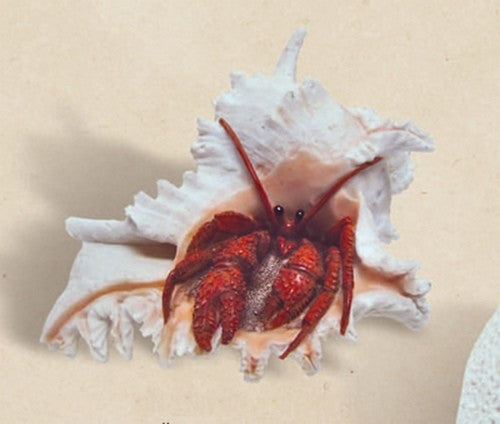 Crab in Shell Sculpture