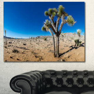Joshua Tree in Open Desert, Landscape Canvas Art Print, 40"x30"