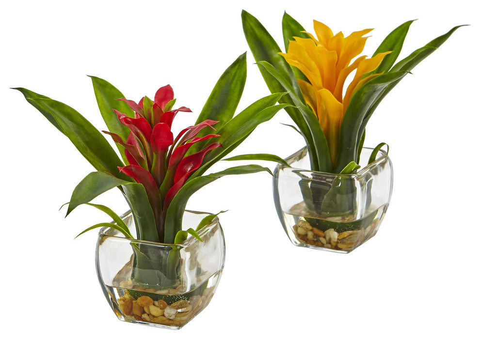 Bromeliad Pair With Glass Vase Arrangement in Red and Yellow, Set of 2