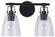 Modern Farmhouse Black 2-Light Vanity Light Wall Sconces