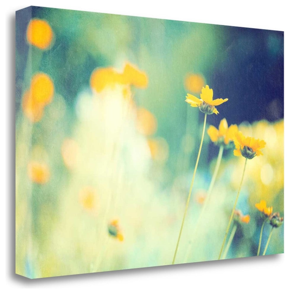 "In The Meadow" By Carolyn Cochrane, Giclee Print on Gallery Wrap Canvas
