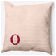 18" x 18" Modern Monogram Indoor/Outdoor Polyester Throw Pillow, Cranberry