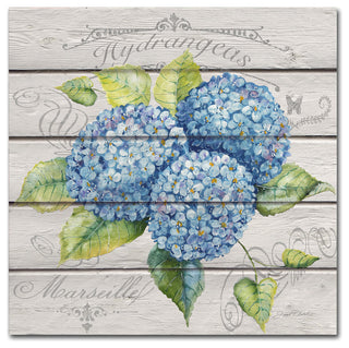 Jean Plout 'Blue Hydrangeas' Canvas Art, 18x18