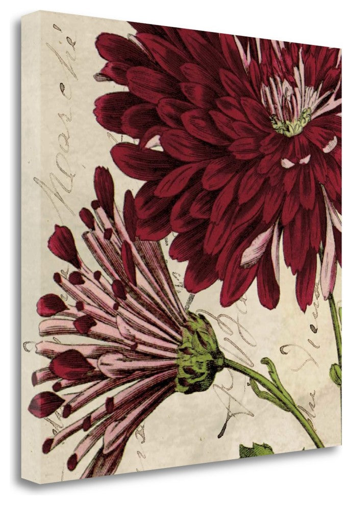 "Joyful Bloom II" By Sabine Berg, Giclee Print on Gallery Wrap Canvas