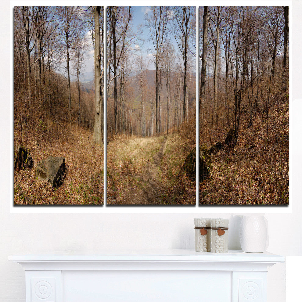 "Forest Scenery With Bare Trees" Forest Metal Wall Art, 3 Panels, 36"x28"