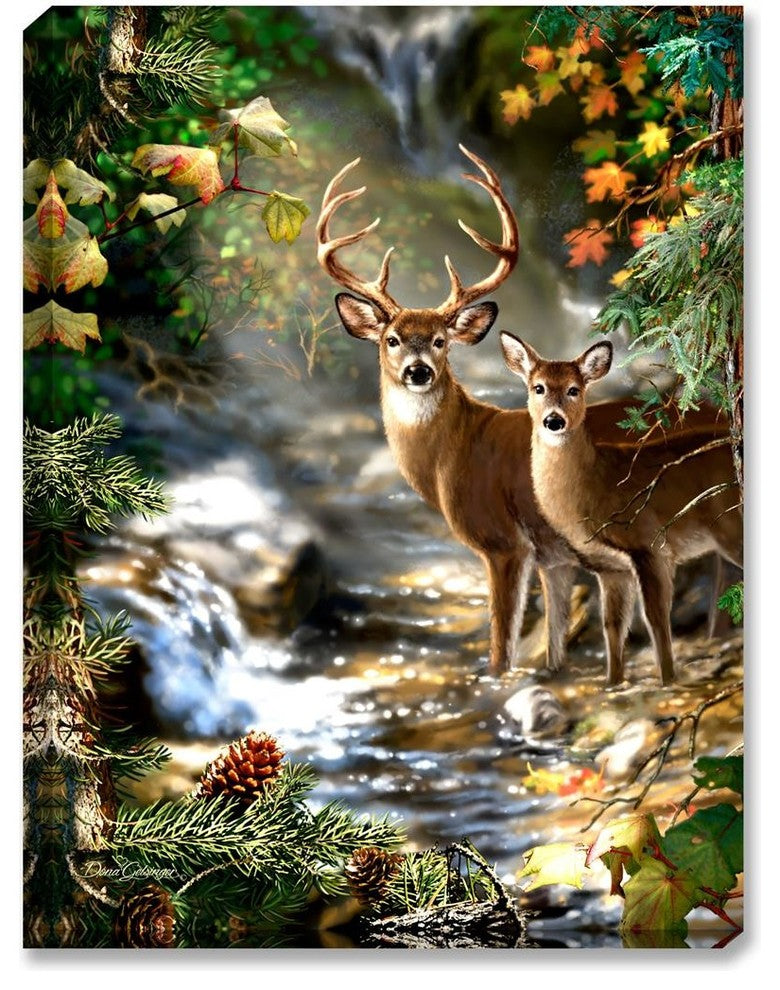 Deer Creek Illuminated Wall Art
