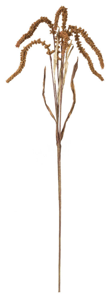 Amaranthus Stem, Set of 12