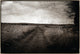 36x24 Path V, Framed Artwork, Silver