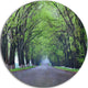 Arched Trees Over Country Road, Landscape Round Metal Wall Art, 23"