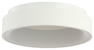 Ring 17.7" Integrated LED Flush Mount Ceiling Light, White