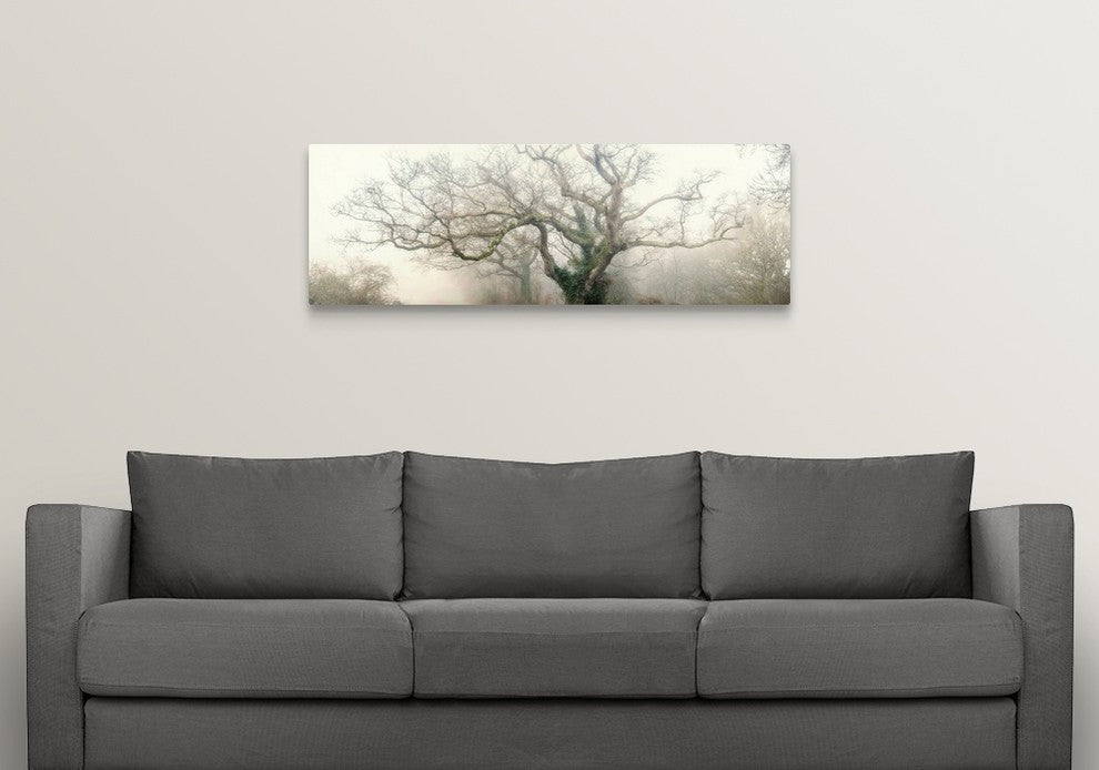 "panoramic octopus ghost oak" Wrapped Canvas Art Print, 48"x16"x1.5"