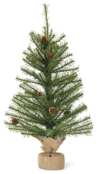 Single pine tree on white background, full view, front-facing; no packaging or text.