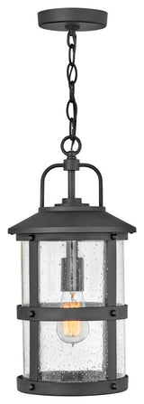 Hinkley Lakehouse Medium Hanging Lantern, Black