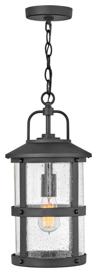Hinkley Lakehouse Medium Hanging Lantern, Black