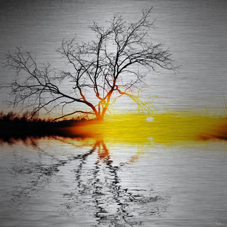 "Killaloe" UV Ink Print on Brushed  Aluminum, 40"x40"