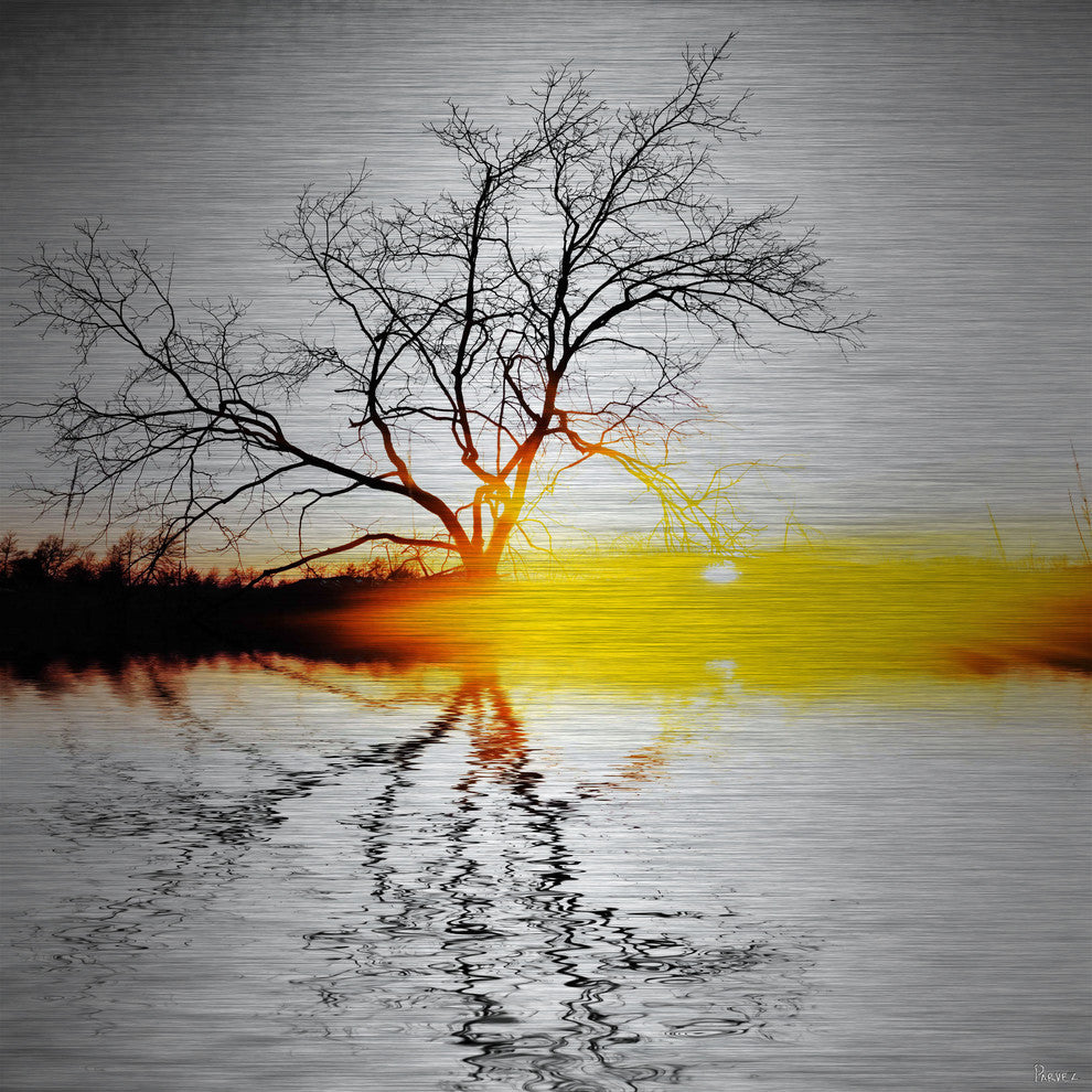 "Killaloe" UV Ink Print on Brushed  Aluminum, 40"x40"