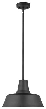 Barn Light 1-Light Outdoor Pendant, Black