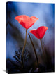 "Desire" Stretched Canvas Giclee by Fabien Bravin, 20x30"