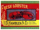 "Fresh Lobster" Digital Paper Print by Retrolabel, 42"x32"