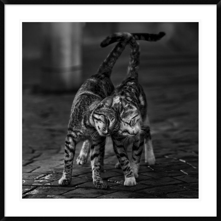 "Untitled" Framed Digital Print by Nebula, 38"x38"