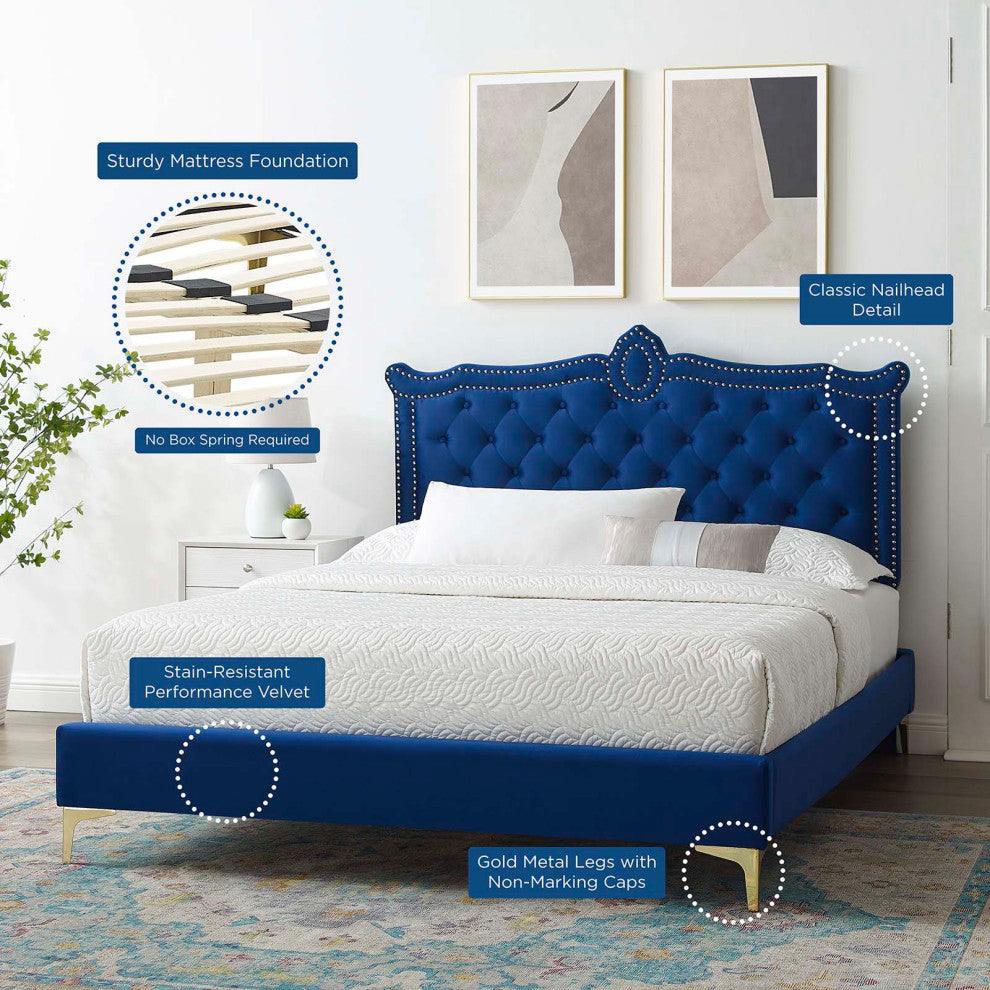 Platform Bed Frame, Nailhead, Queen Size, Blue Navy, Velvet, Modern