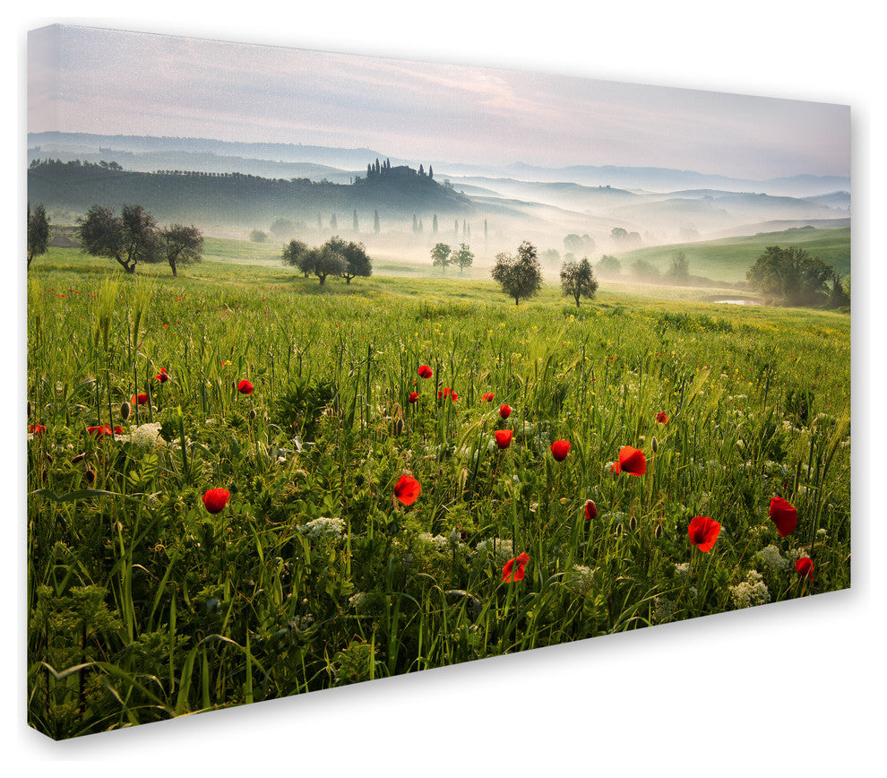 Daniel Rericha 'Tuscan Spring' Canvas Art, 47x30