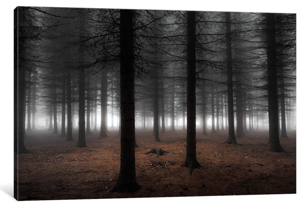 Silence by Dragisa Petrovic