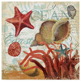 Art Licensing Studio 'Shell Collector Ocean' Canvas Art, 24x24