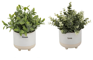 Two planters with 'Dream' and 'Love' labels on a white background; full product visible and front-facing with no diagram overlays.