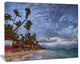 Long Palm Trees Bent to Beach, Seashore Canvas Art Print, 60"x28"