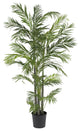 5' Areca Silk Palm Tree