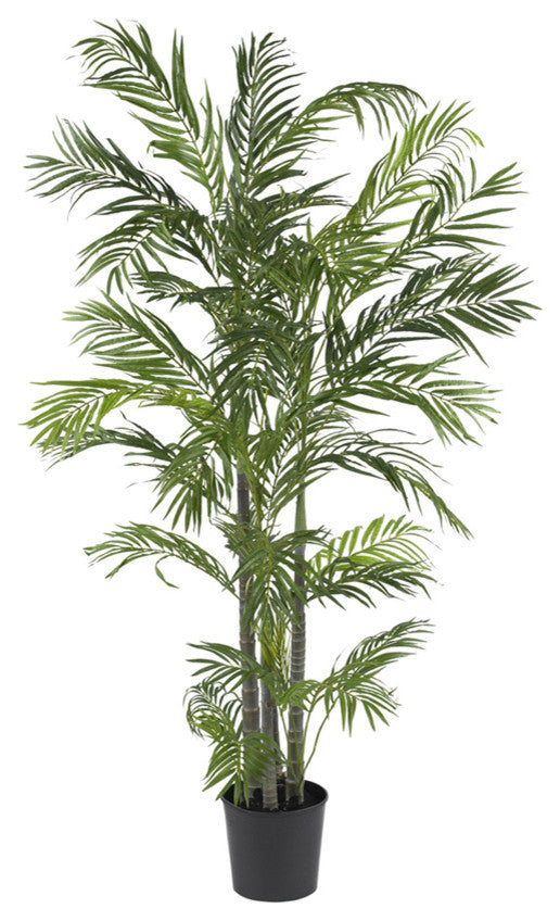 5' Areca Silk Palm Tree