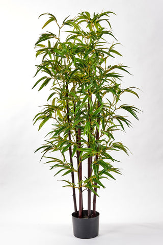 49" Bamboo Tree W/ Black Trunk In Pot