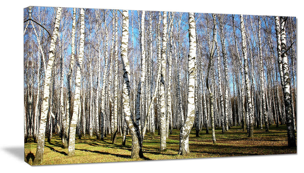Sunny Autumn Birch Grove, Modern Forest Canvas Art, 32"x16"