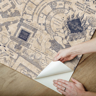 Blue Harry Potter Marauder's Map Peel & Stick Wallpaper