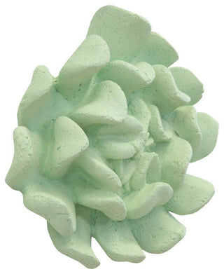 Topsy Turvy Succulent Wall Art, Jade