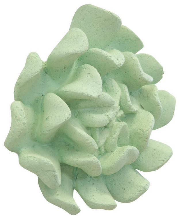 Topsy Turvy Succulent Wall Art, Jade