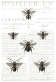 "Bee Botanical Gray" Digital Paper Print by Sue Schlabach, 26"x38"