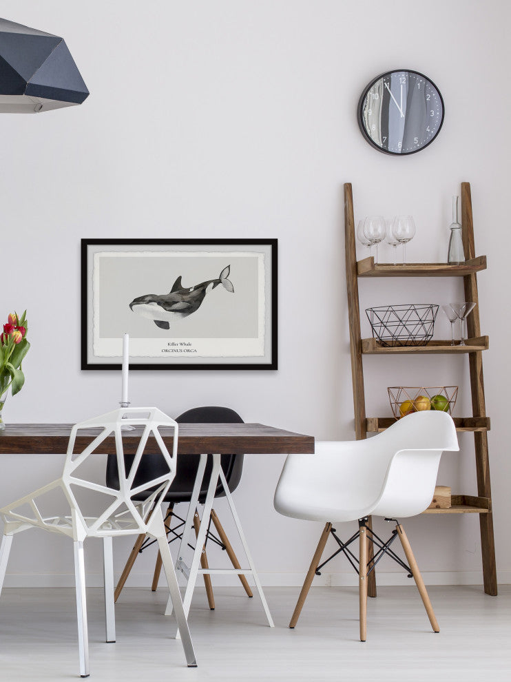 "Orcinus Orca" Framed Painting Print, 12x8