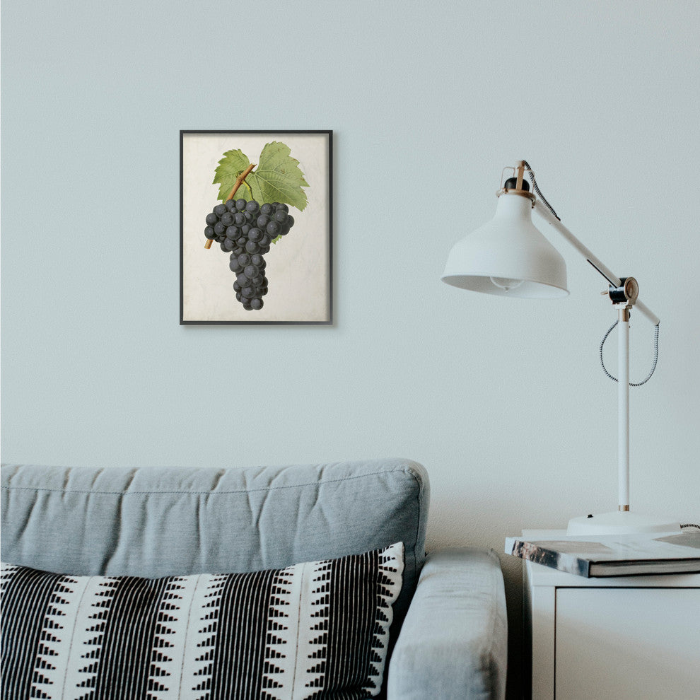 Vintage Fruit Grape Painting, 11"x14"