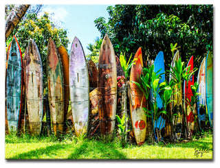 Surfboard Fence' Canvas Art Print, 12"x16"