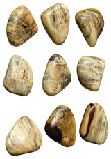 Uttermost 04324 Pebbles 5" Tall Wood Minerals and Rocks Sculpture - Brown