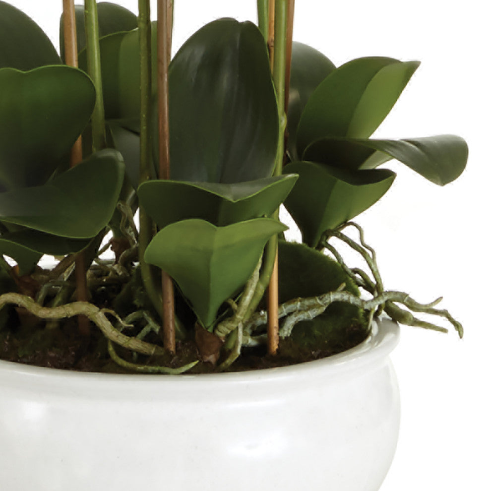 Barclay Butera Orchid In Ceramic Bowl, 30"